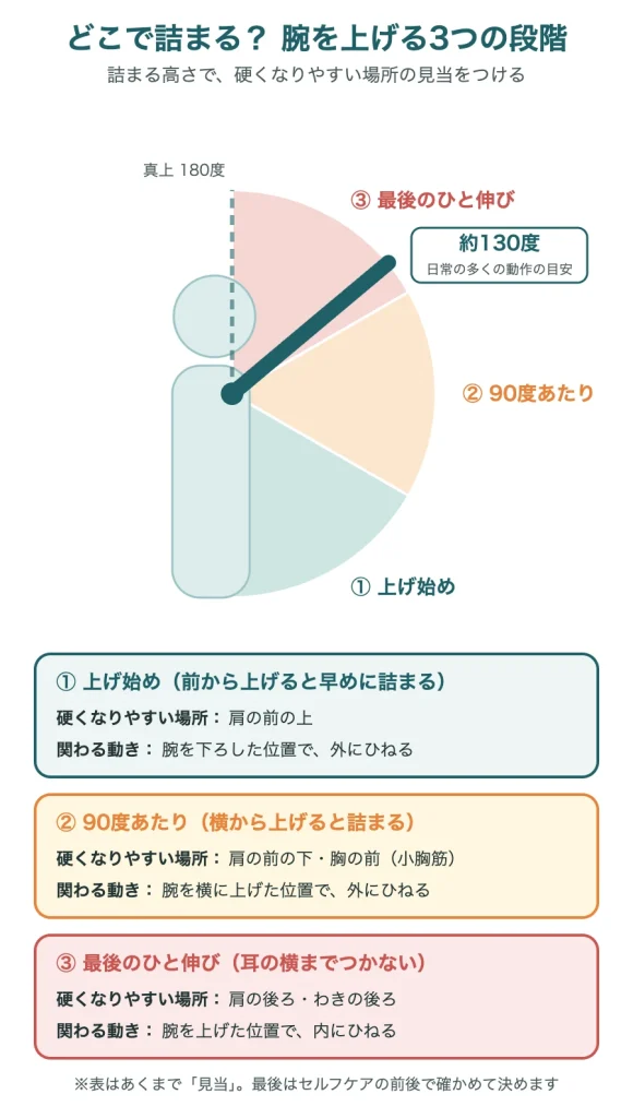腕を上げる3つの段階（上げ始め・90度あたり・最後のひと伸び）と、硬くなりやすい場所