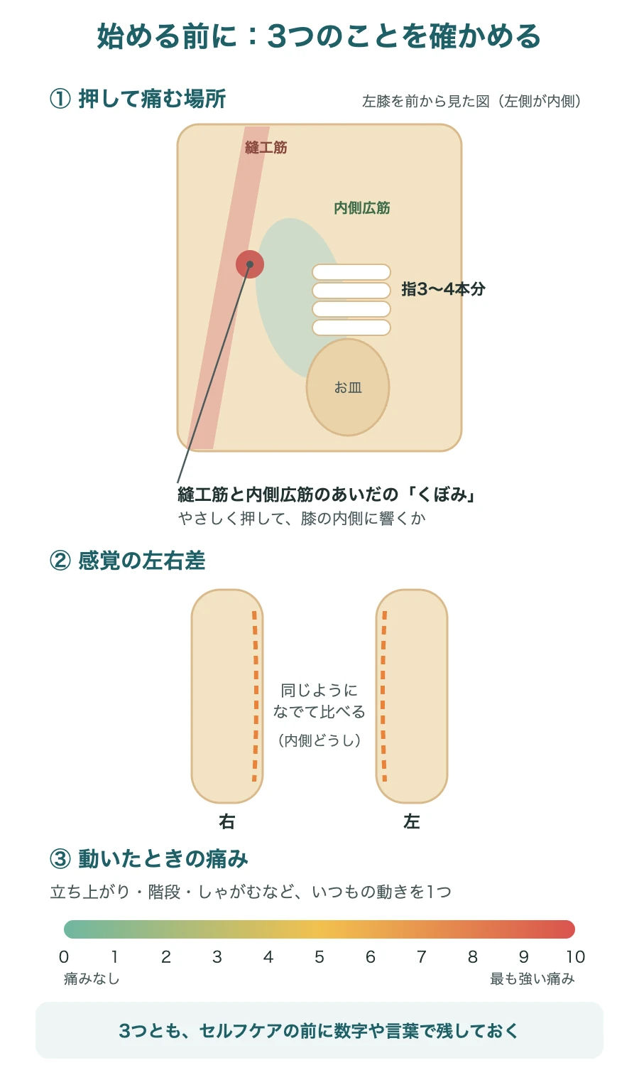 始める前に確かめる3つ：押して痛む場所、感覚の左右差、動いたときの痛み