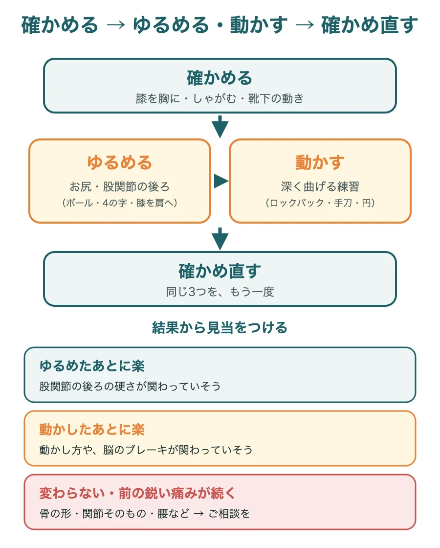 確かめる、ゆるめる・動かす、確かめ直すの流れと、結果からの見当のつけ方