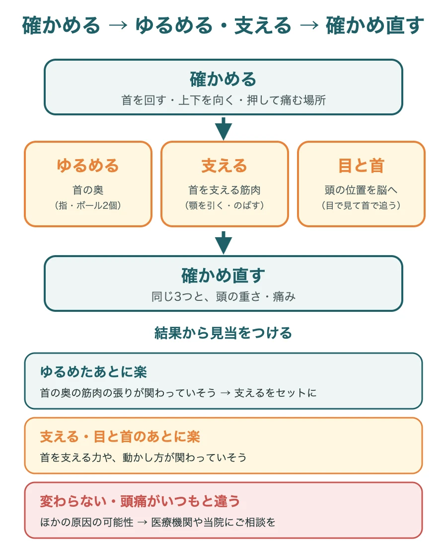 確かめる、ゆるめる・支える・目と首、確かめ直すの流れと、結果からの見当のつけ方