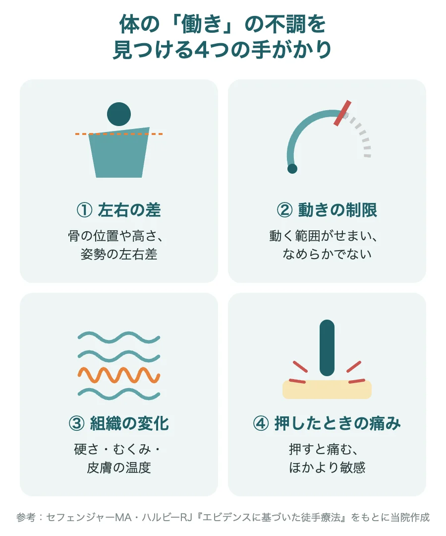 体の働きの不調を見つける4つの手がかり(左右の差・動きの制限・組織の変化・押したときの痛み)のイラスト