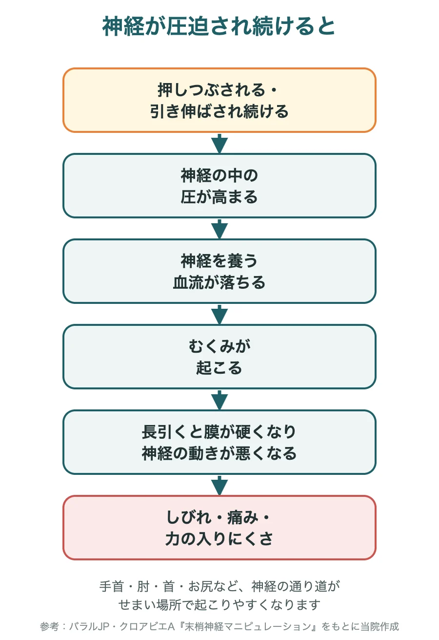 神経が圧迫され続けたときの流れのイラスト