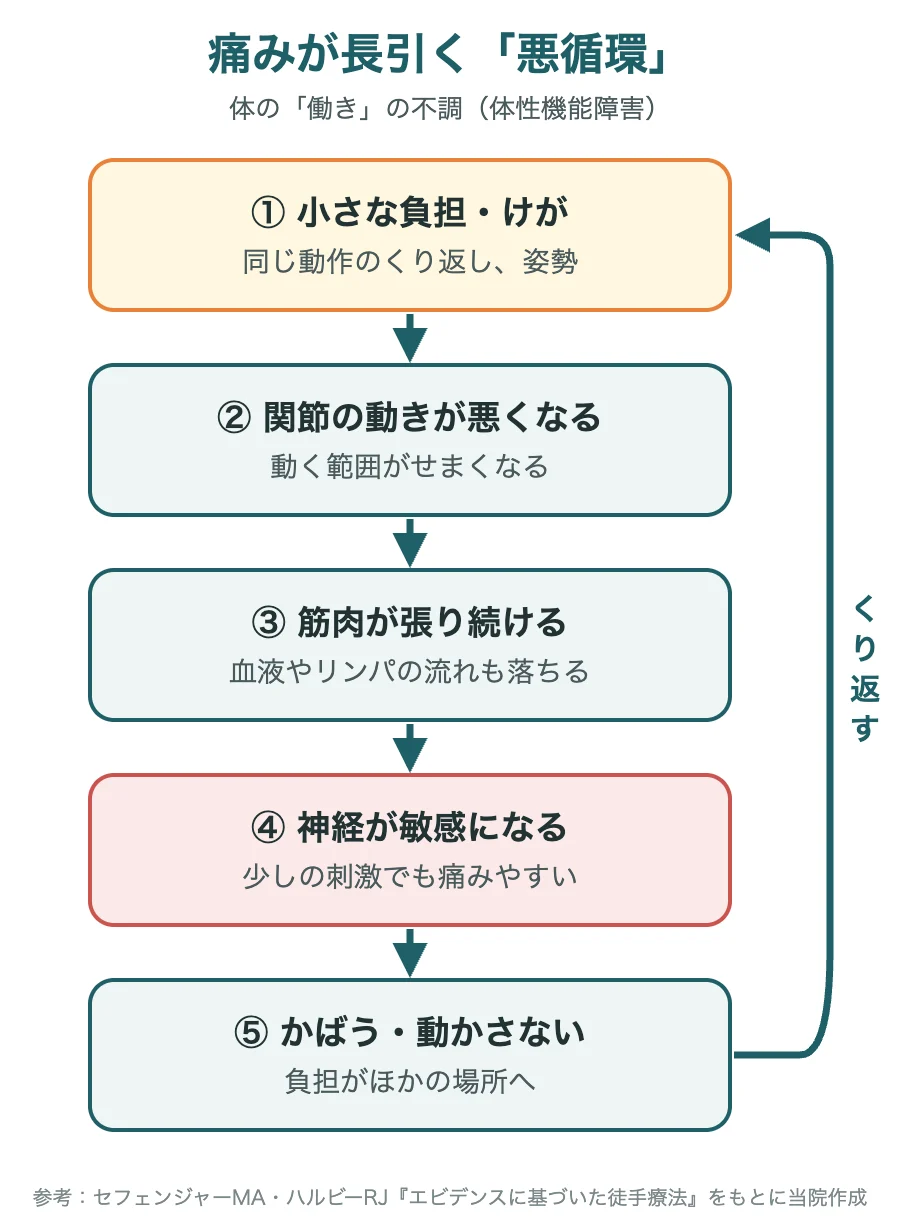 痛みが長引く悪循環(負担・けが→関節の動きが悪くなる→筋肉が張り続ける→神経が敏感になる→かばう)のイラスト